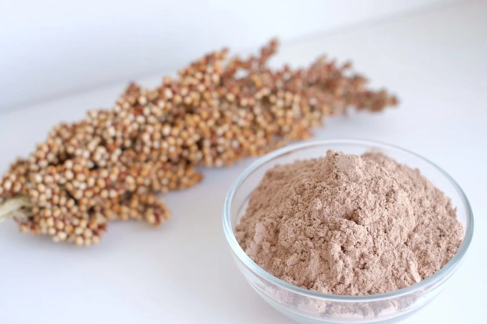 ソルガム粉と穂