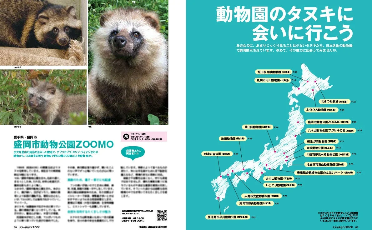 動物園のタヌキたち