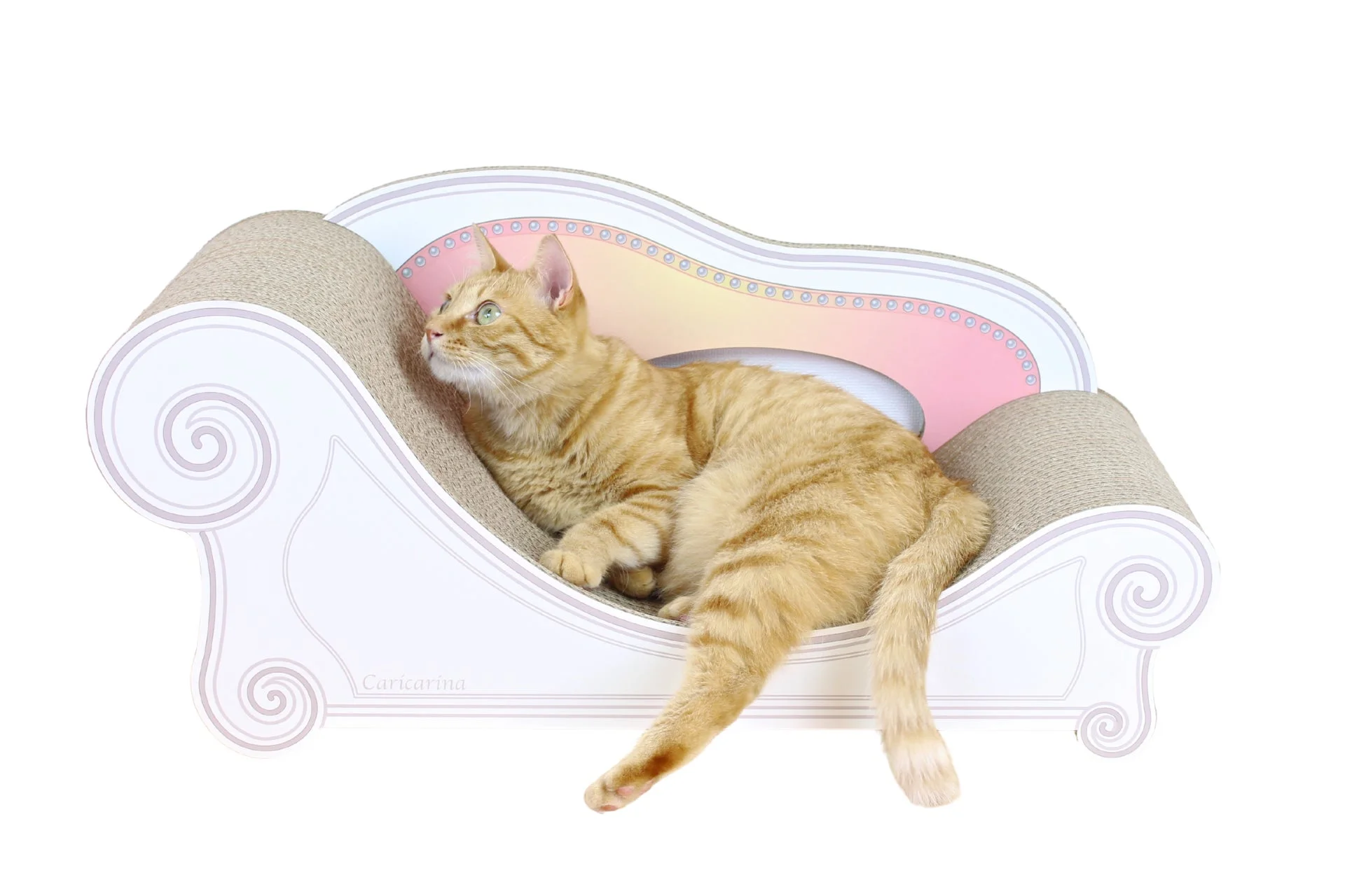 茶トラの猫がカリカリーナのソファ型爪とぎでくつろぐ様子