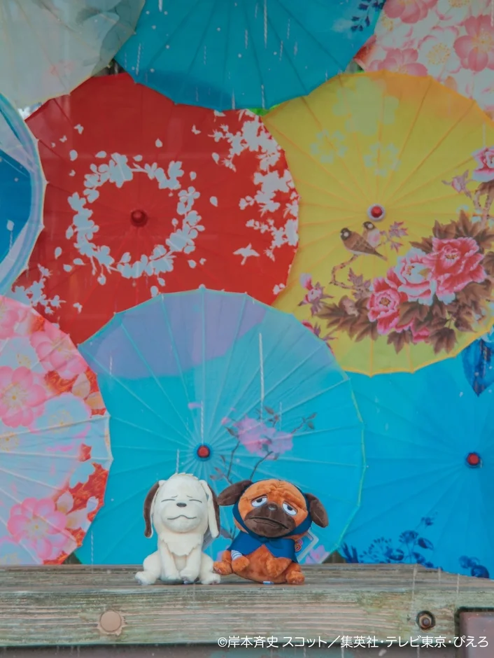 和傘イルミネーション