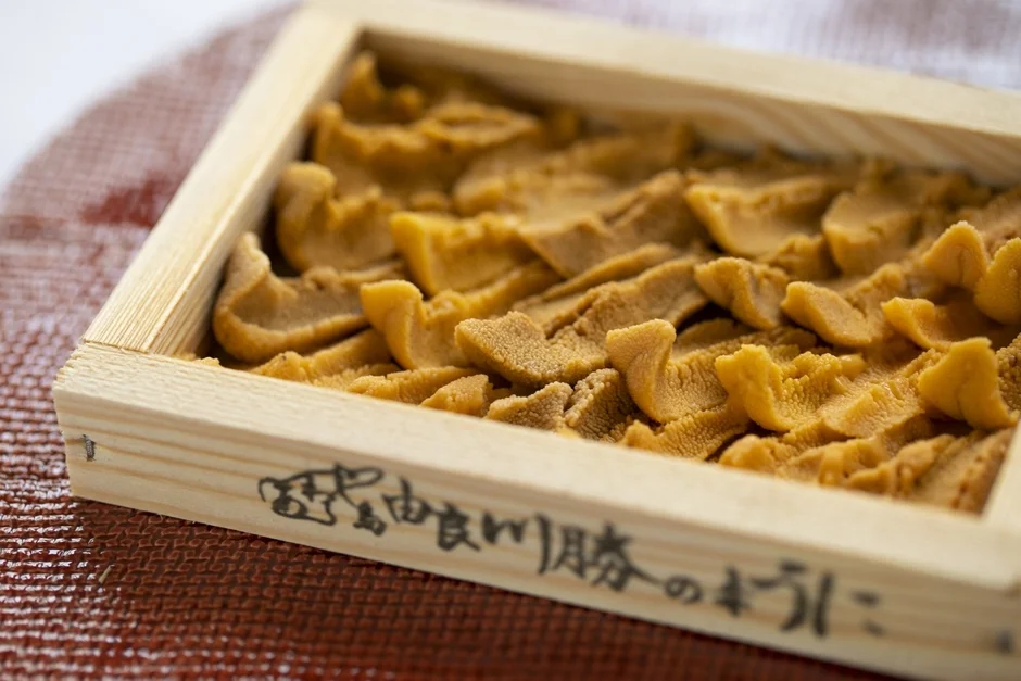 由良産の美しい雲丹