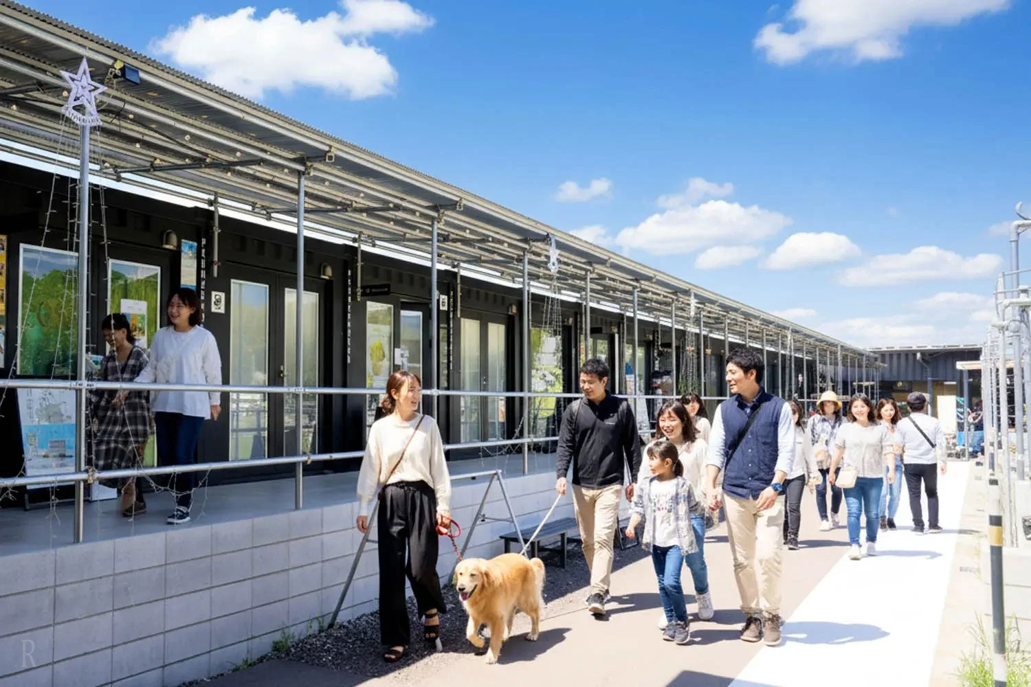 WHATAWONの屋外施設と犬