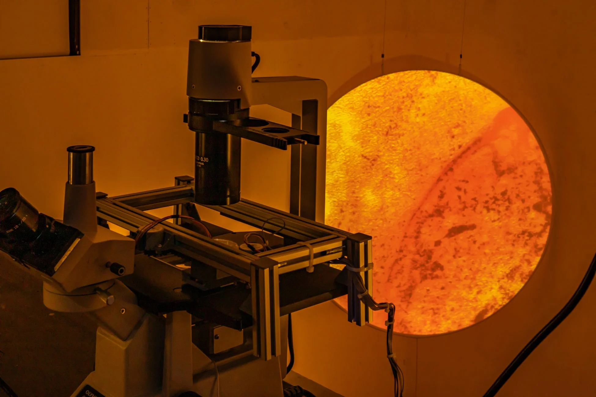 小宮りさ麻吏奈氏の作品