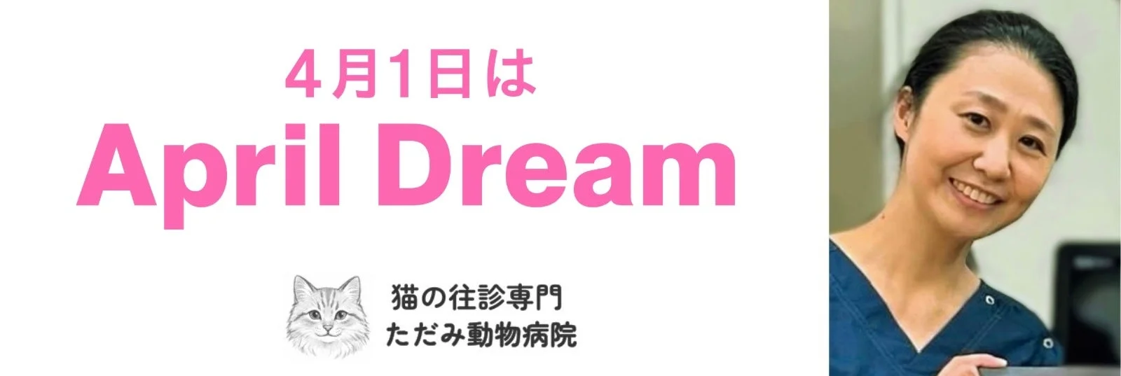 猫の往診専門「ただみ動物病院」