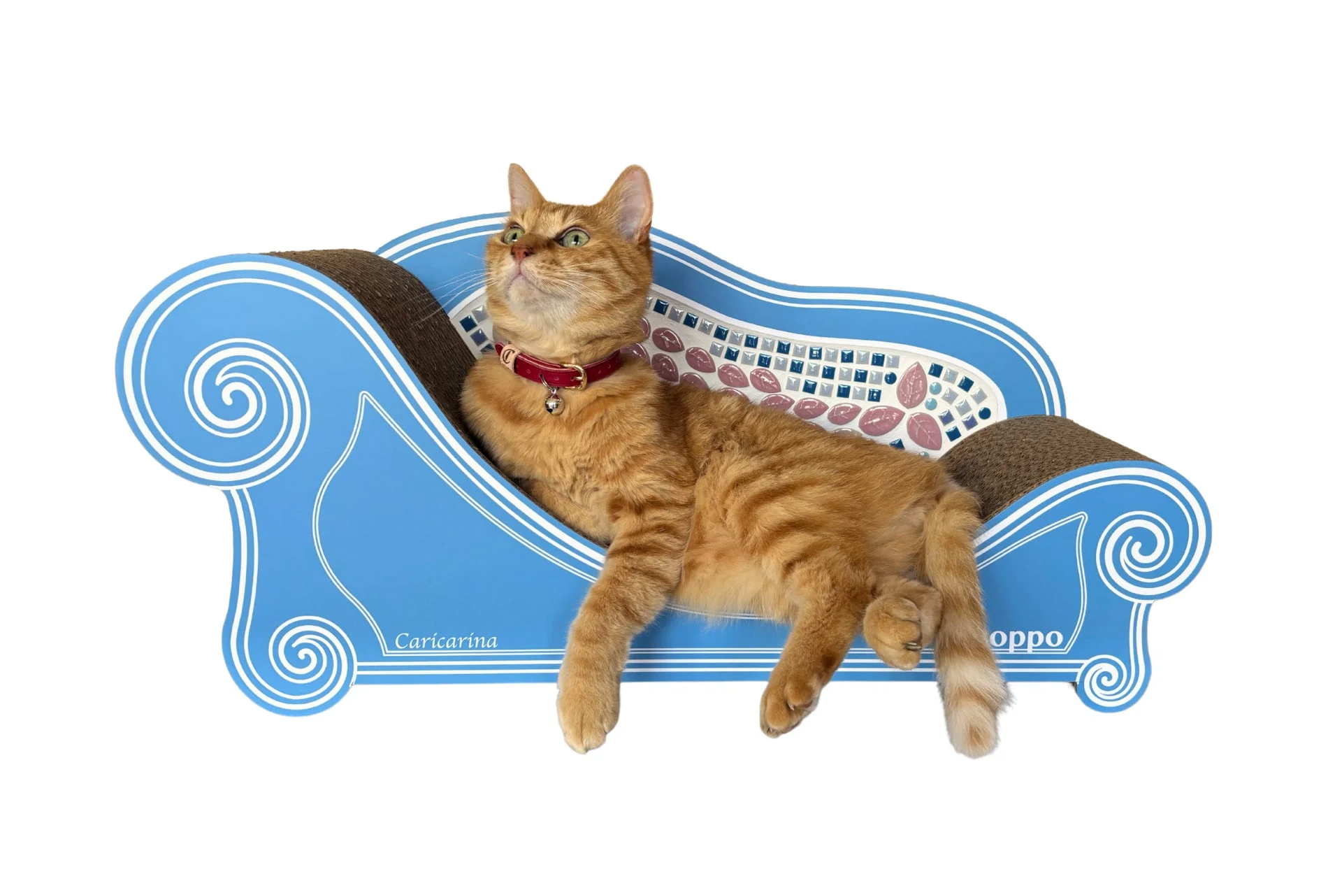 青い猫用ソファでくつろぐ茶トラ猫
