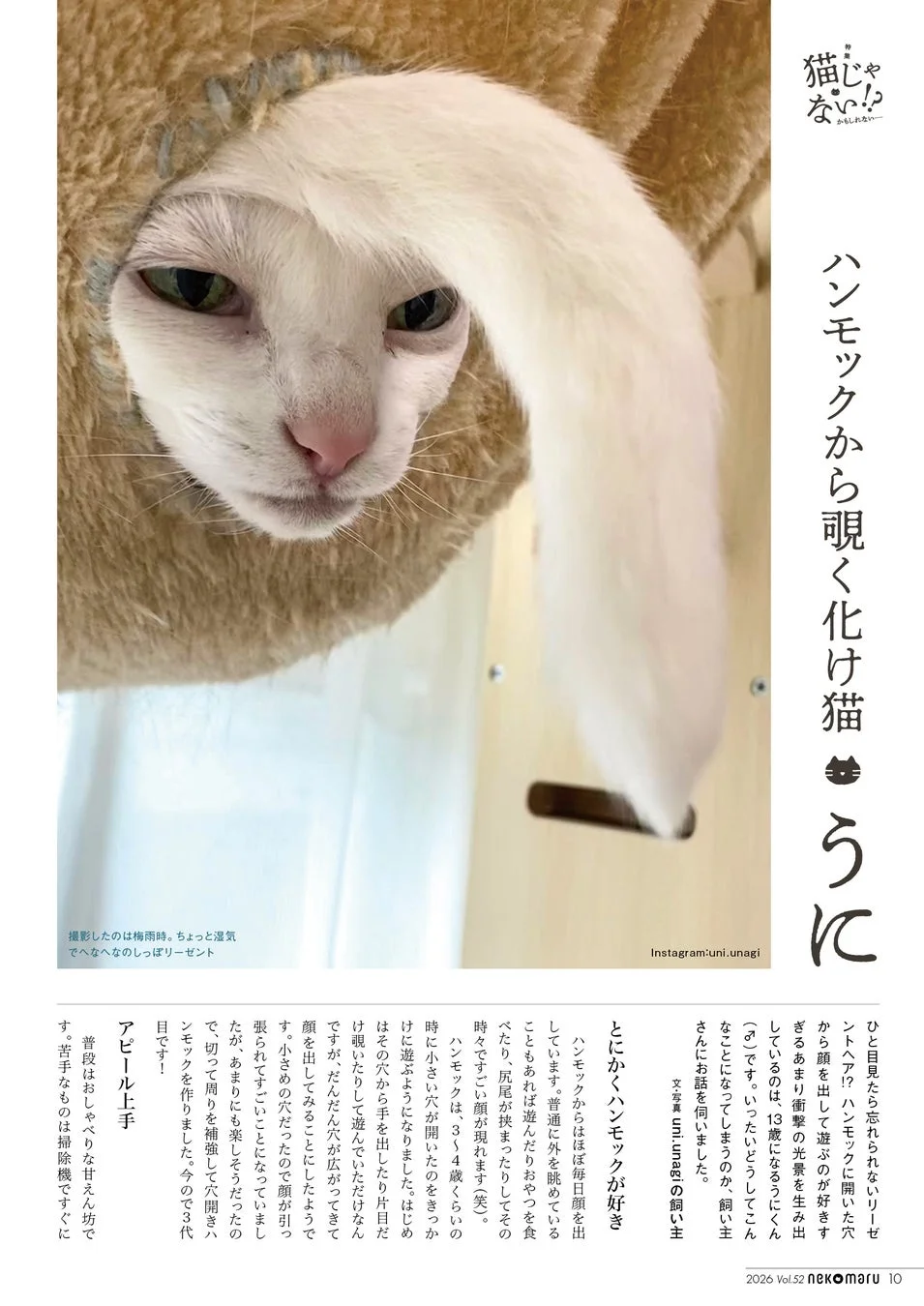 ハンモックから顔を出す「うに」