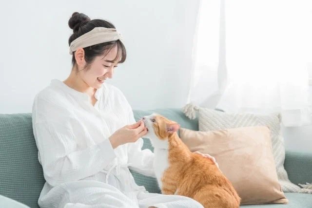 猫と女性