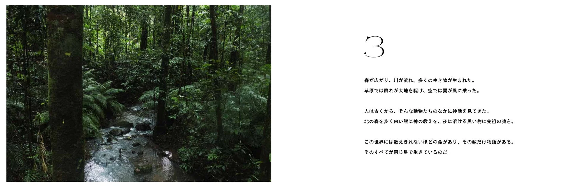 森と川