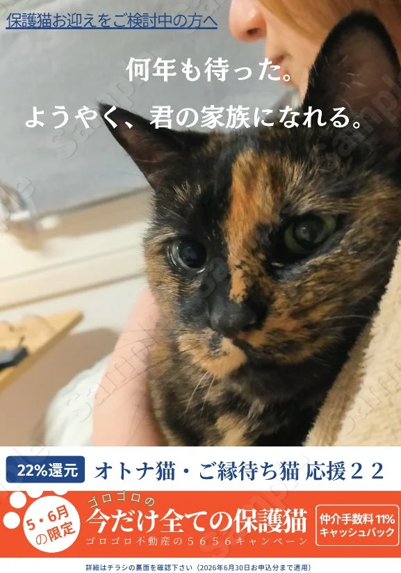 保護猫の里親募集を促す広告画像で、三毛猫がクローズアップされています。「何年も待った。ようやく、君の家族になれる。」というメッセージと共に、保護猫お迎えに関する割引やキャッシュバックキャンペーンが告知されています。