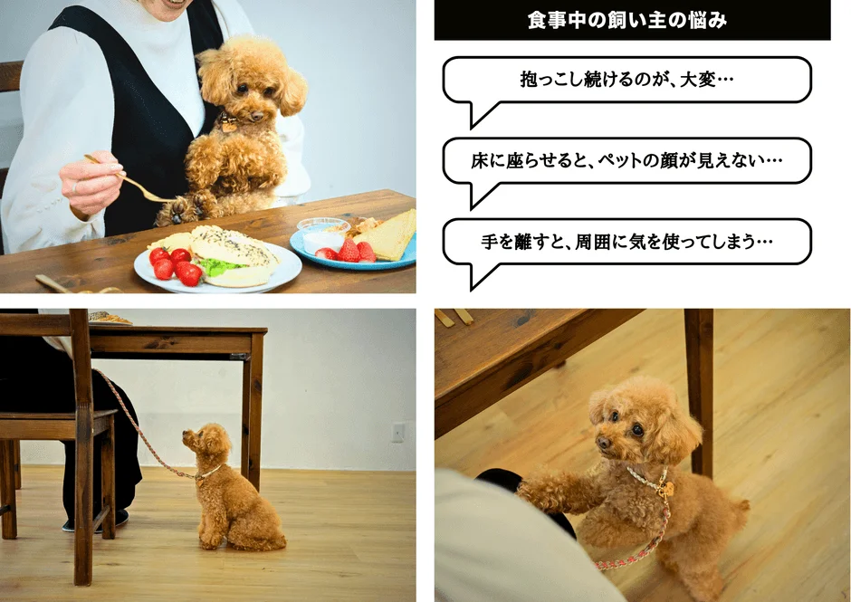 食事中に愛犬をどうするか悩む飼い主の様子を捉えた画像です。抱っこし続けることの負担や、床に座らせると顔が見えないこと、周囲への配慮といった具体的な悩みがテキストで示されています。犬がテーブルの下で待ったり、飼い主の膝に手をかけたりする様子も描かれています。