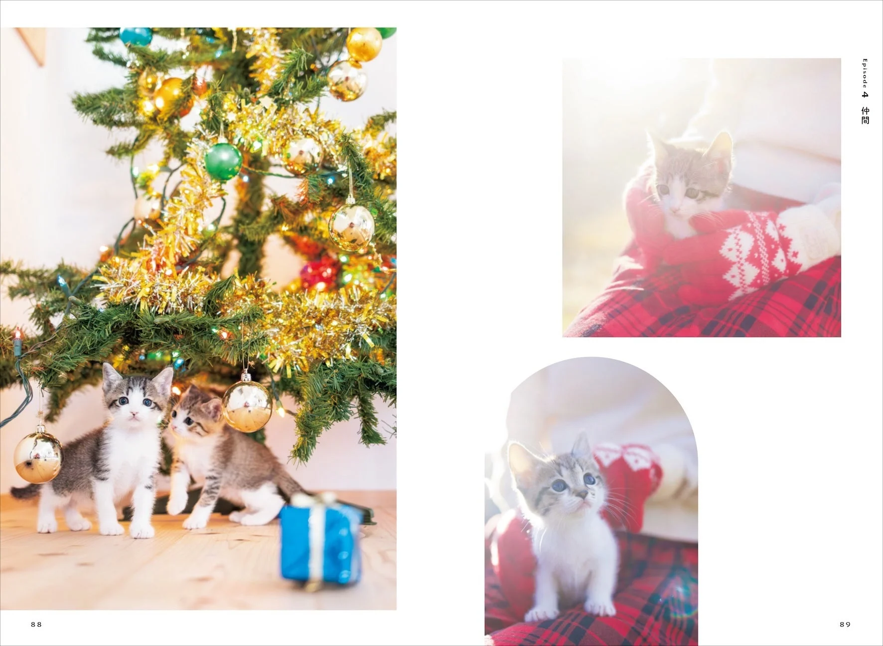クリスマスツリーの下で遊ぶ子猫たち