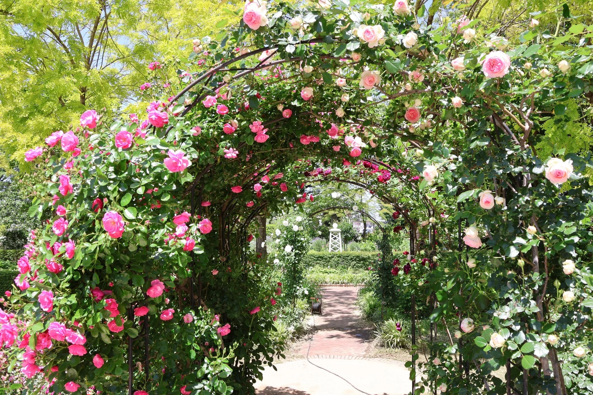 バラのアーチが美しい公園