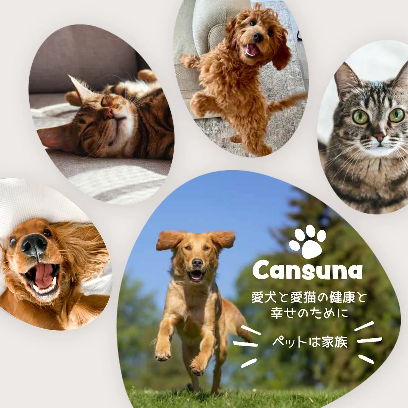 愛犬と愛猫の健康と幸せのために