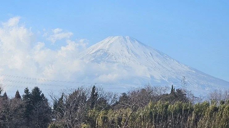 雪化粧した雄大な富士山が青空の下に広がる冬の景色です。山の中腹には白い雲がたなびき、手前には裸の木々や常緑樹が並んでいます。