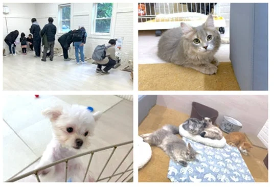 保護動物と人々