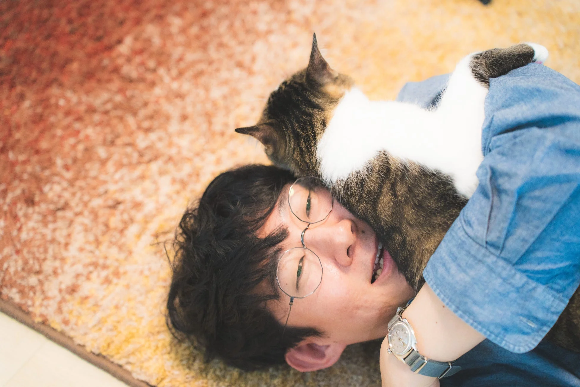 絨毯の上に横たわる男性の頭の上に、タビー柄の猫が寄り添っている心温まる一枚