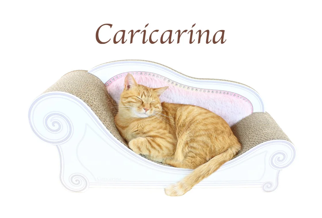 白いおしゃれな猫用ソファ型爪とぎの上で眠る茶トラ猫