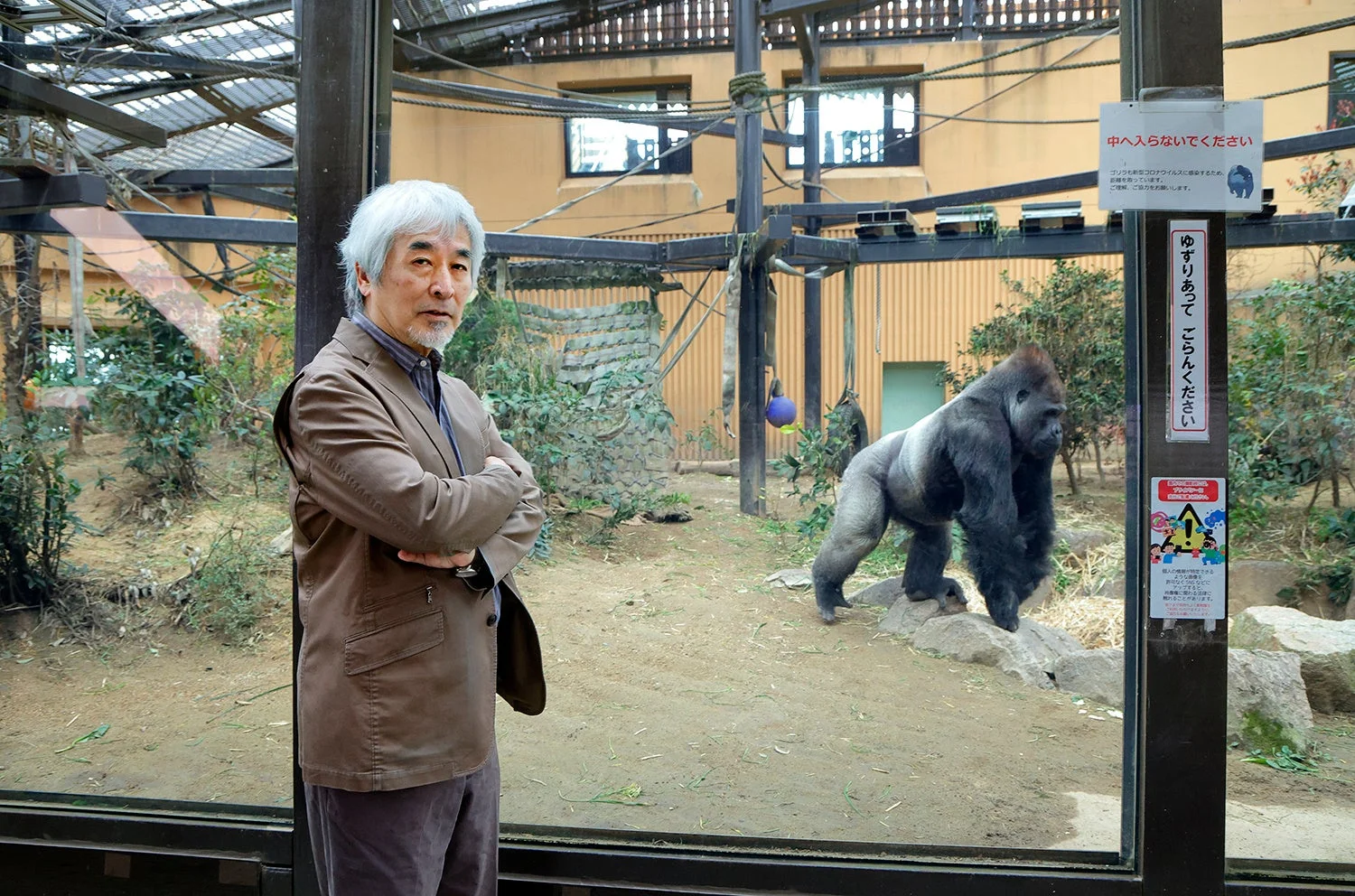 京都市動物園のゴリラ舎を訪れた山極壽一さん