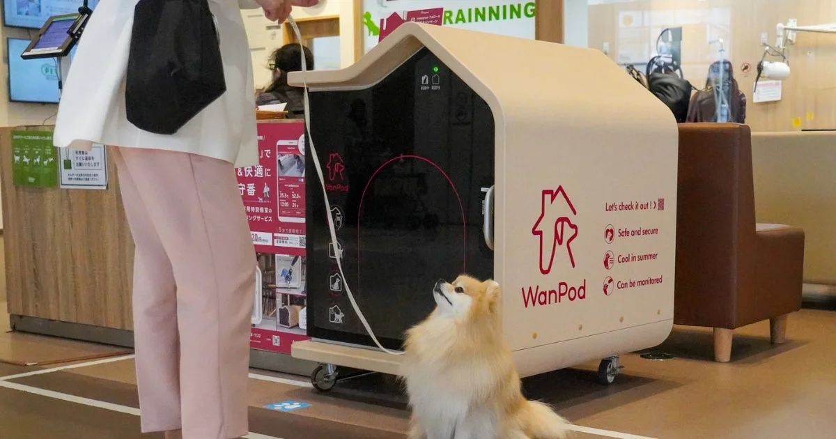 WanPodの利用イメージ