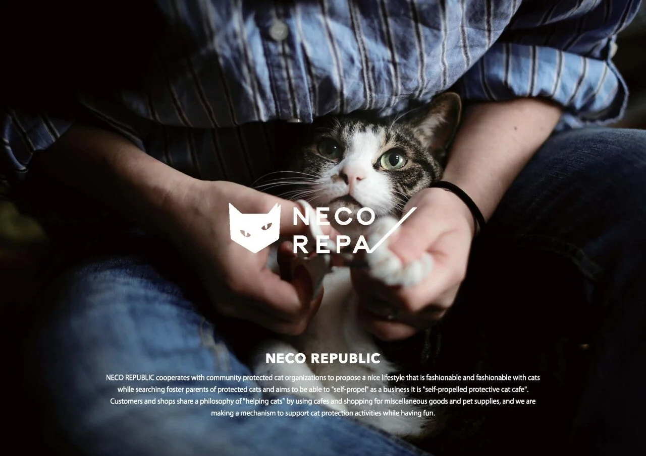 人に抱かれる猫とNECOREPA/ロゴ
