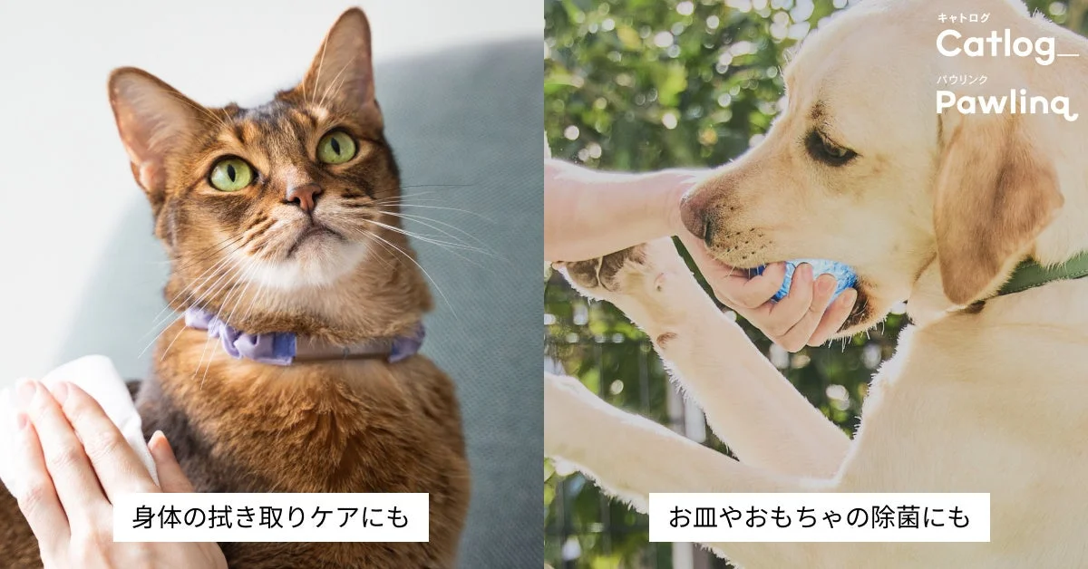 身体の拭き取りケアにも、お皿やおもちゃの除菌にも