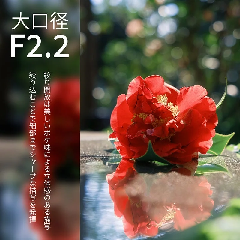 大口径F2.2 椿