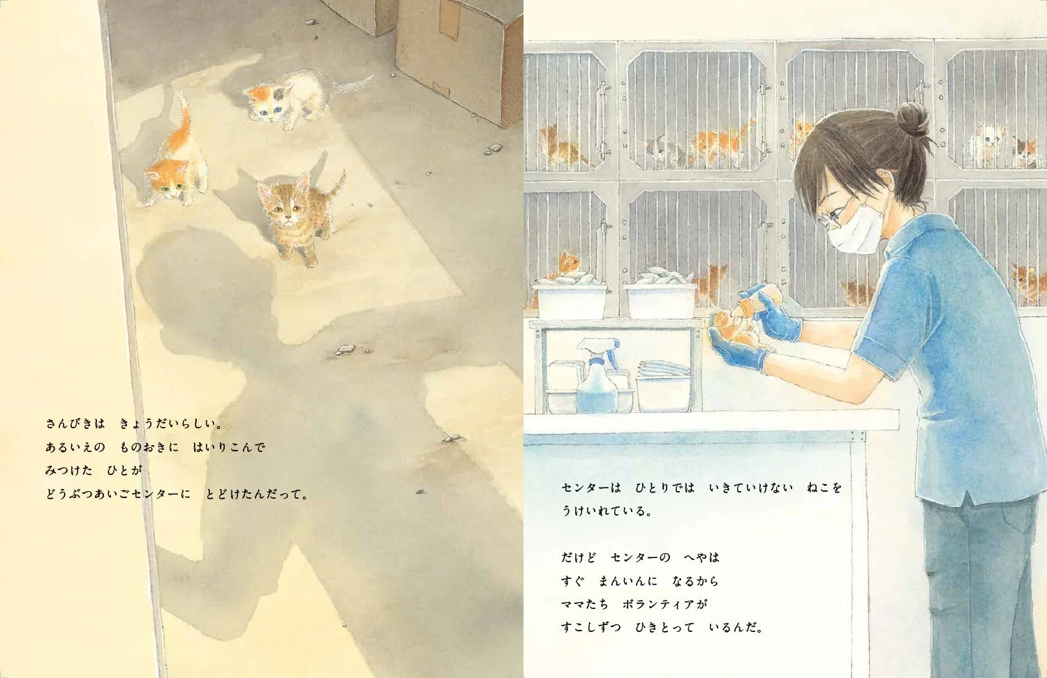 ボランティアが子猫にミルクを与える様子