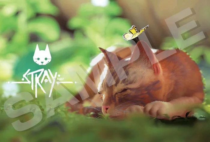 Strayのノベルティイメージ