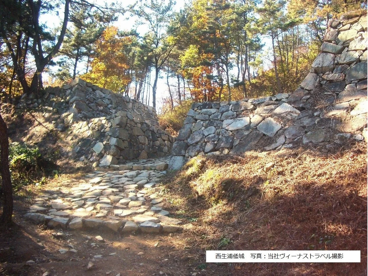 西生浦倭城の石垣