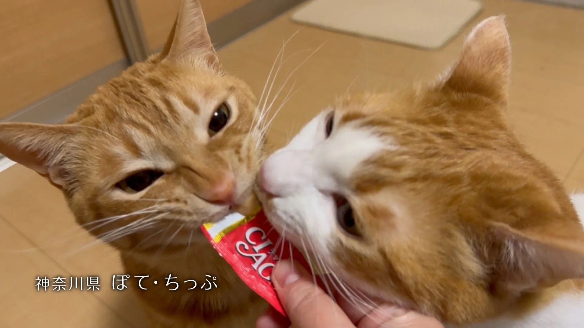 ぽてちゃん・ちっぷちゃん