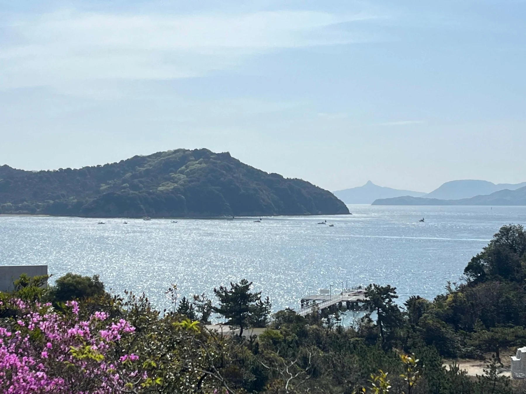 海に浮かぶ島々と手前の花々