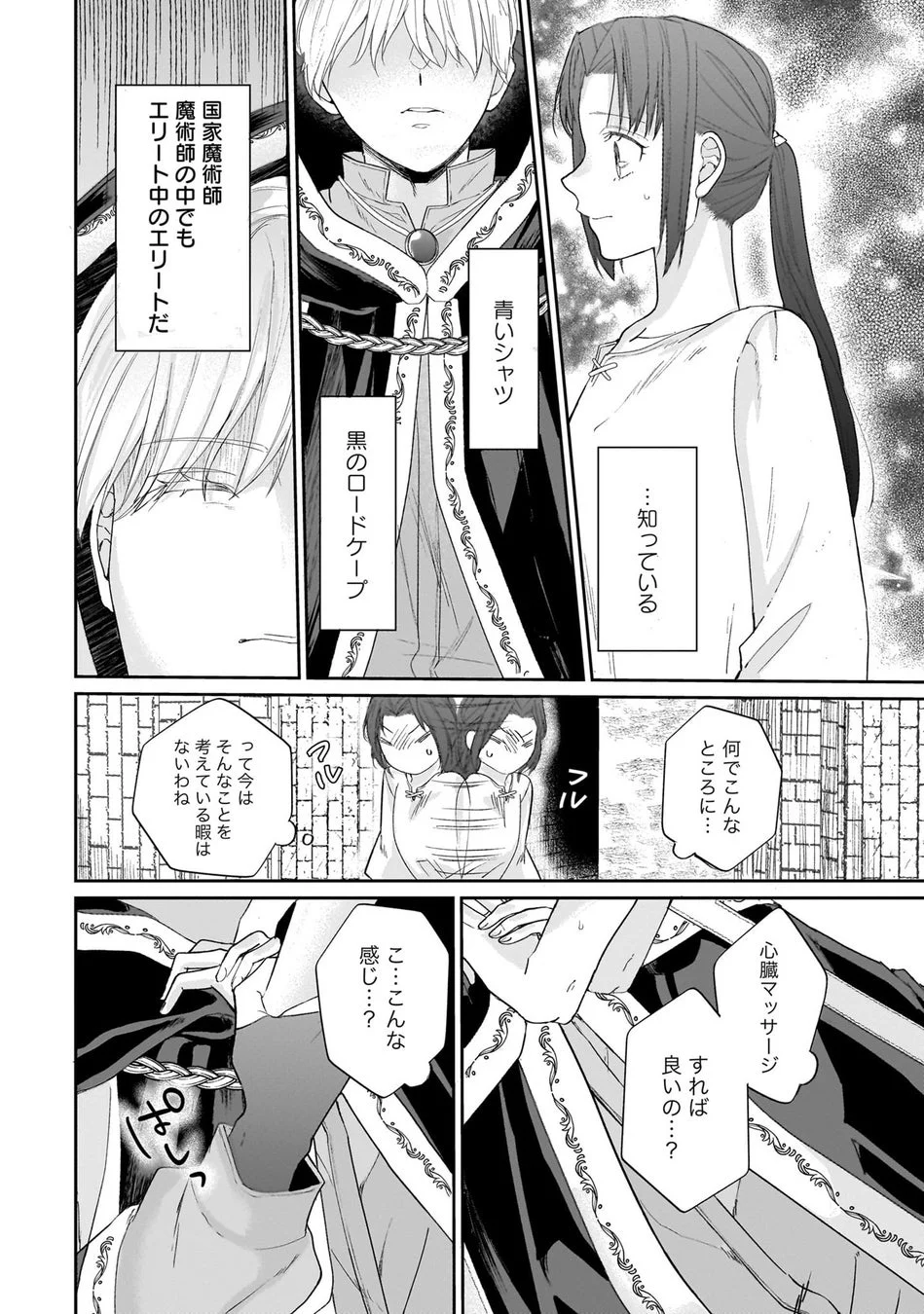 国家魔術師の登場