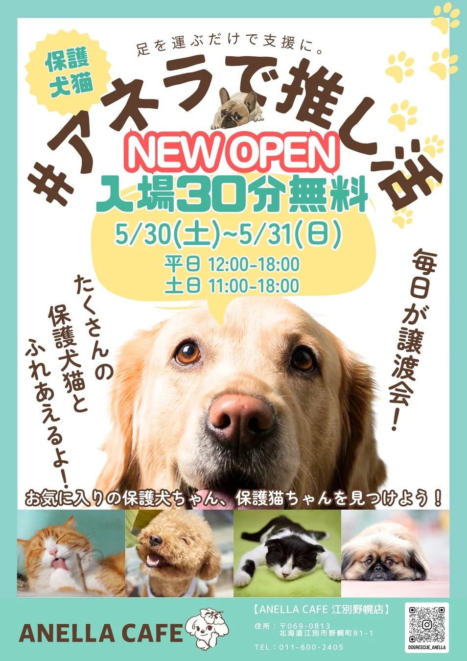 ANELLA CAFE 江別野幌店の新規オープン告知ポスター