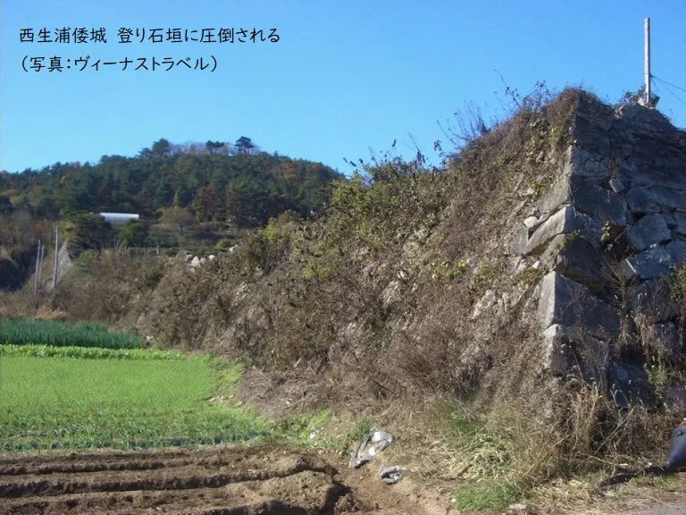 西生浦倭城の登り石垣