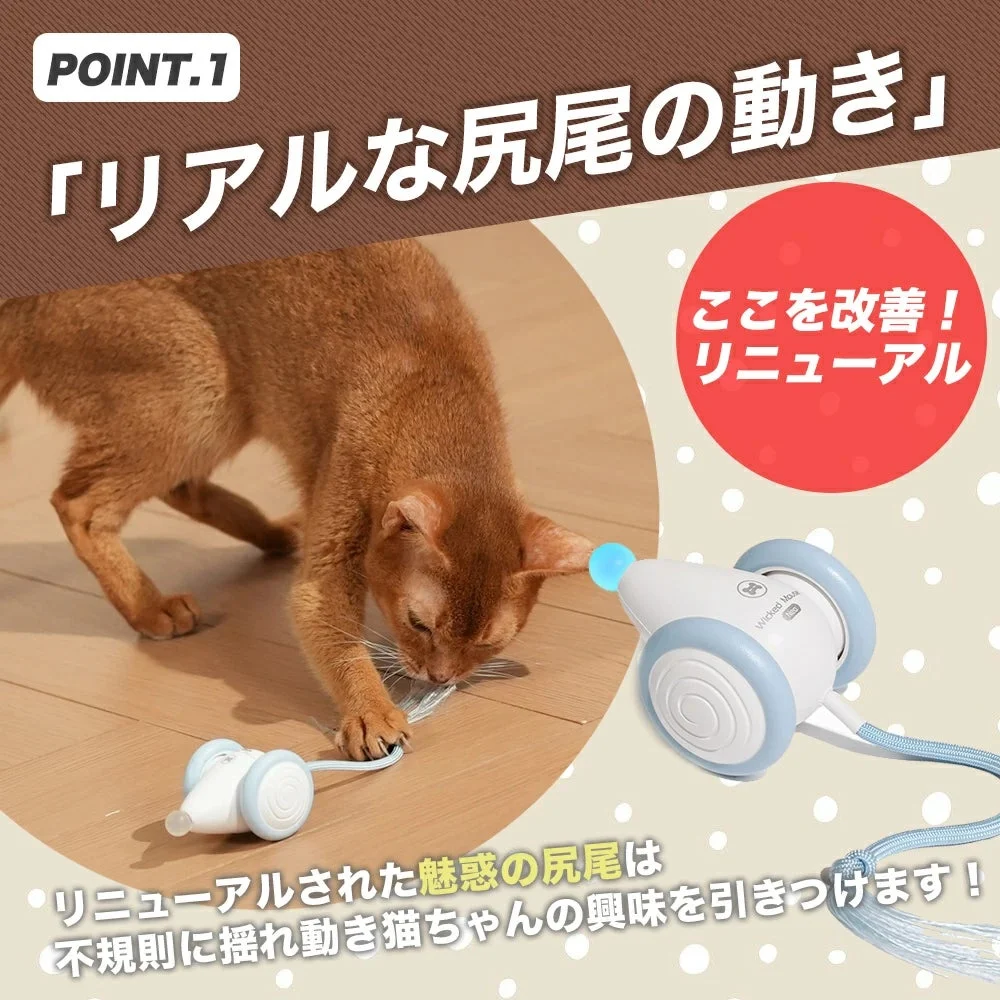 猫がロープ型しっぽで遊ぶ