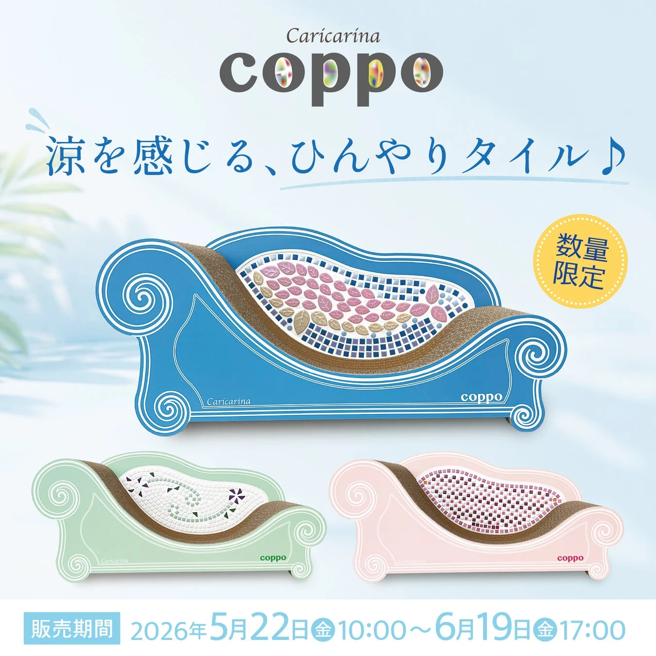 Caricarina coppo