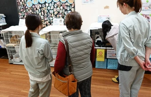 犬猫パートナーシップ店での譲渡会