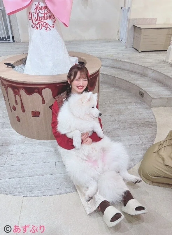 紫月杏朱彩さんとサモエド犬