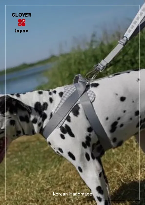 ハーネス大型犬着用