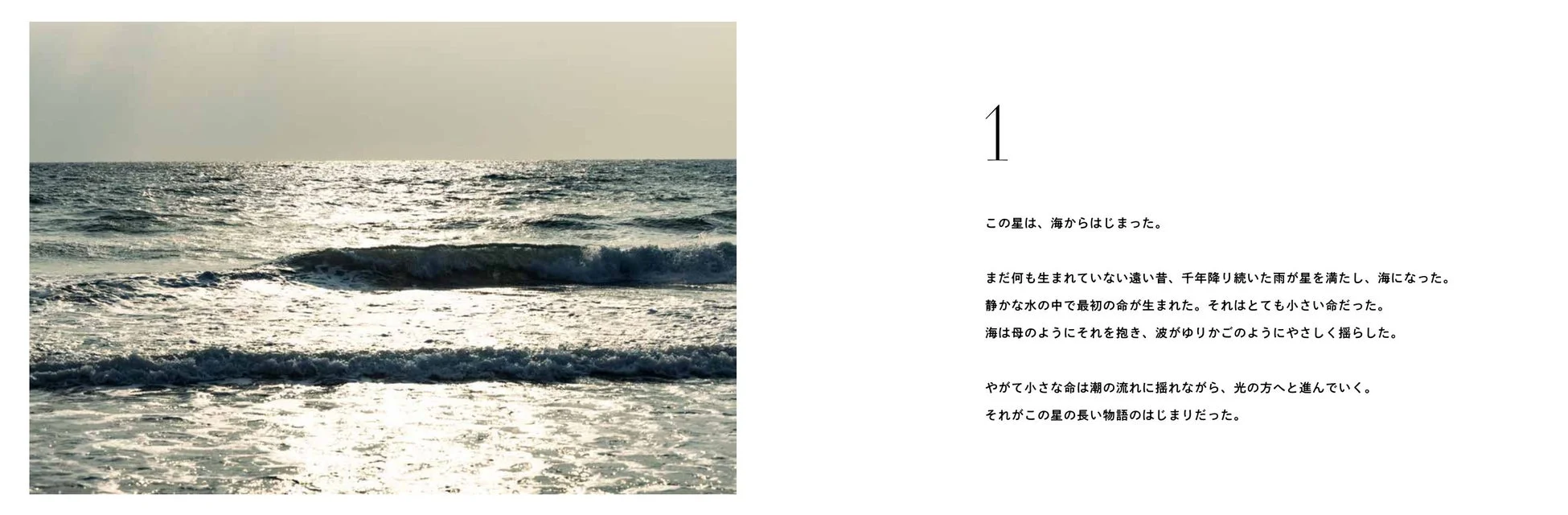 海と生命の起源