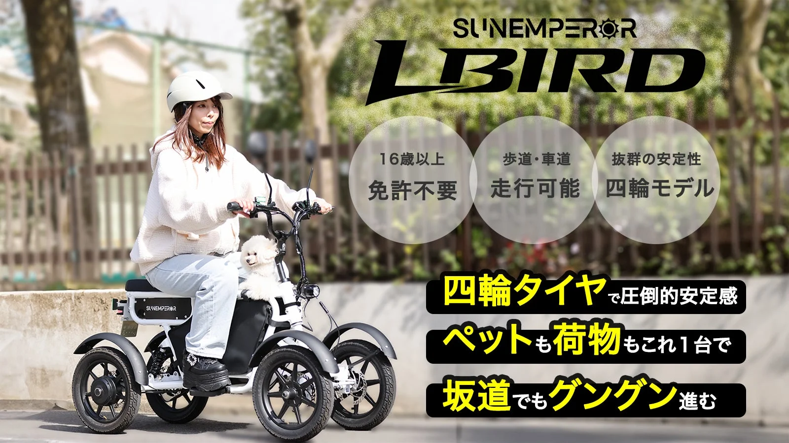 LBIRD