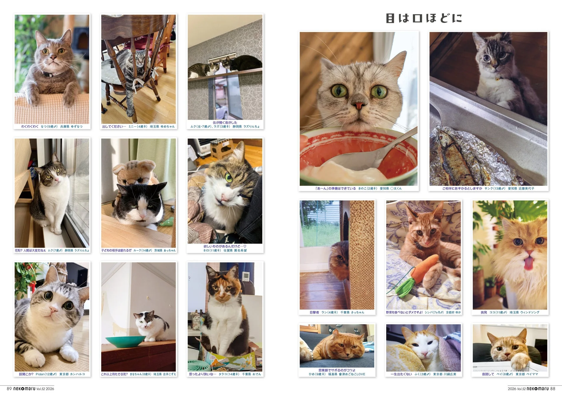 読者投稿コーナーの猫たち