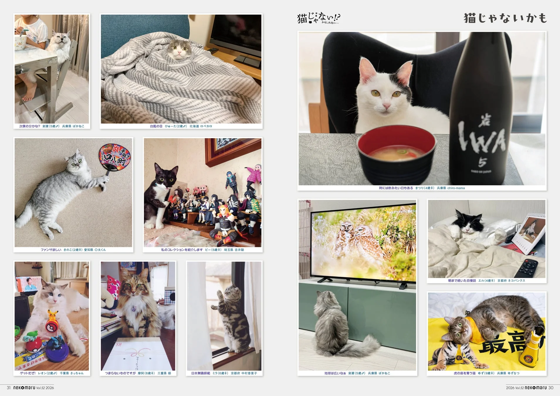 個性豊かな「猫じゃないかも」な猫たち