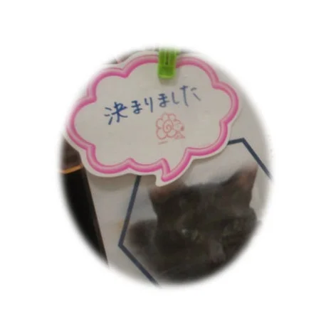 譲渡先が決まった猫