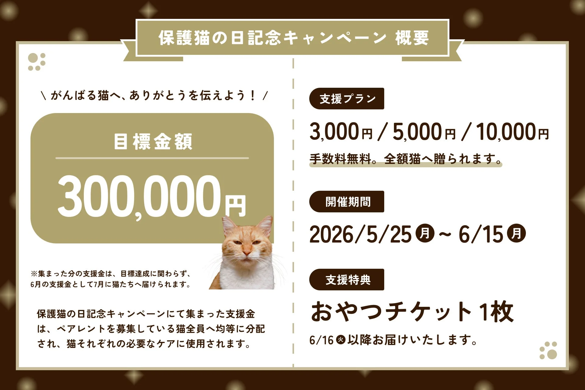 キャンペーン概要