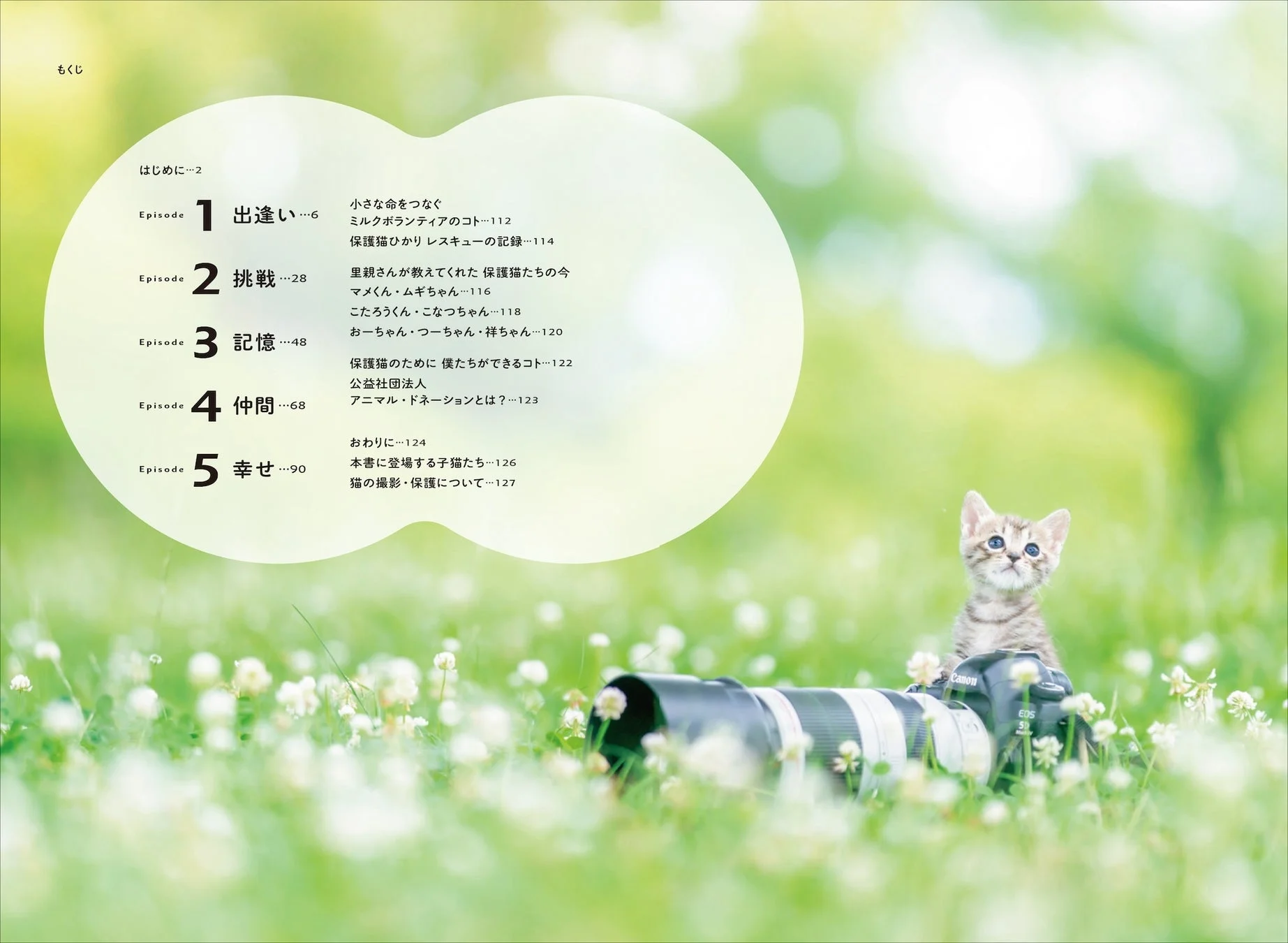 写真集の目次と子猫、撮影に使用されたカメラ