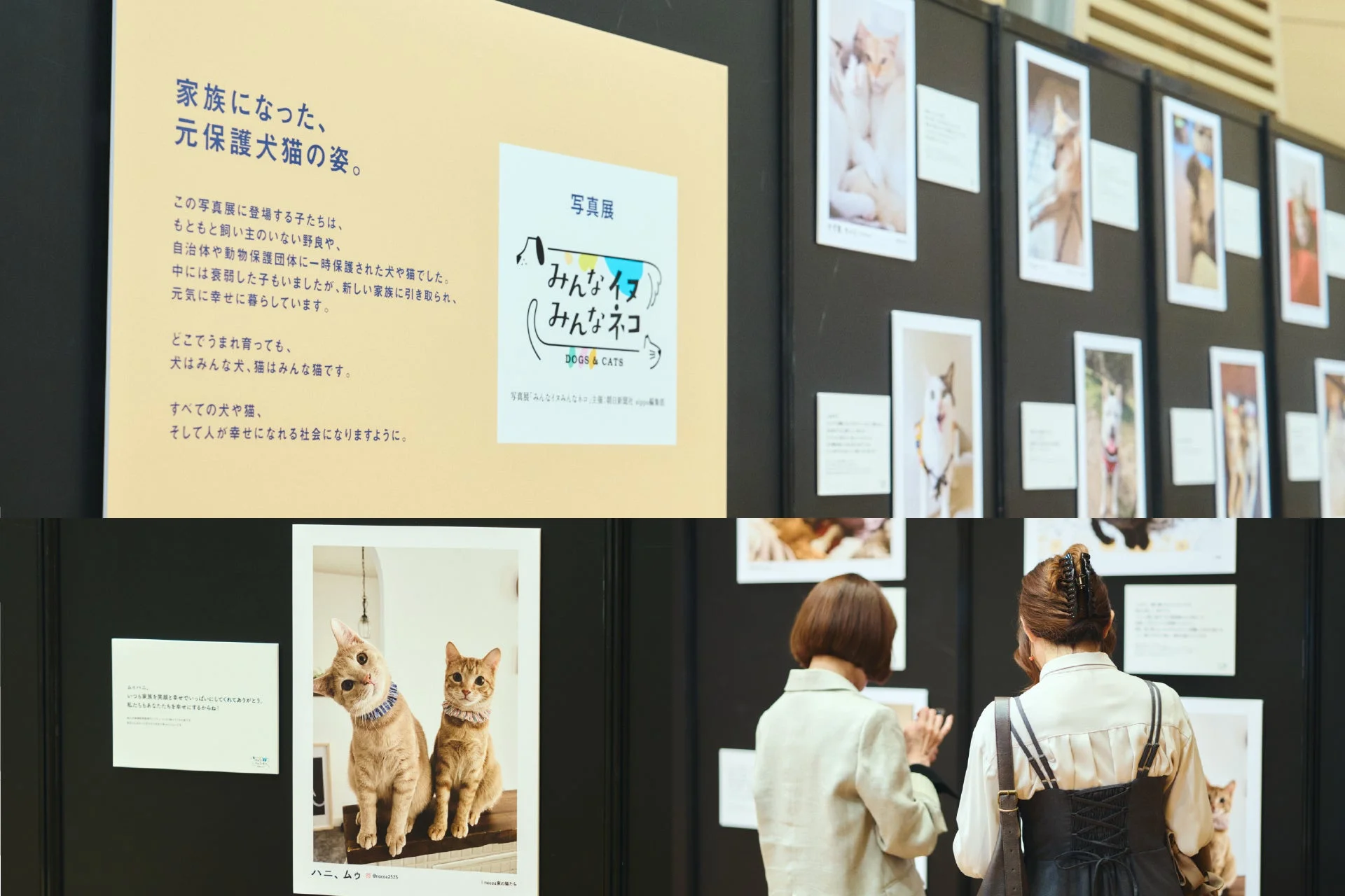 写真展の様子