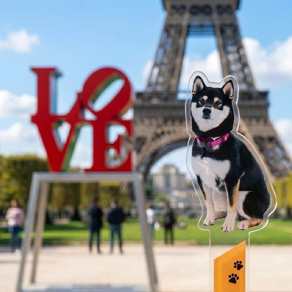 パリのエッフェル塔と柴犬プロップス