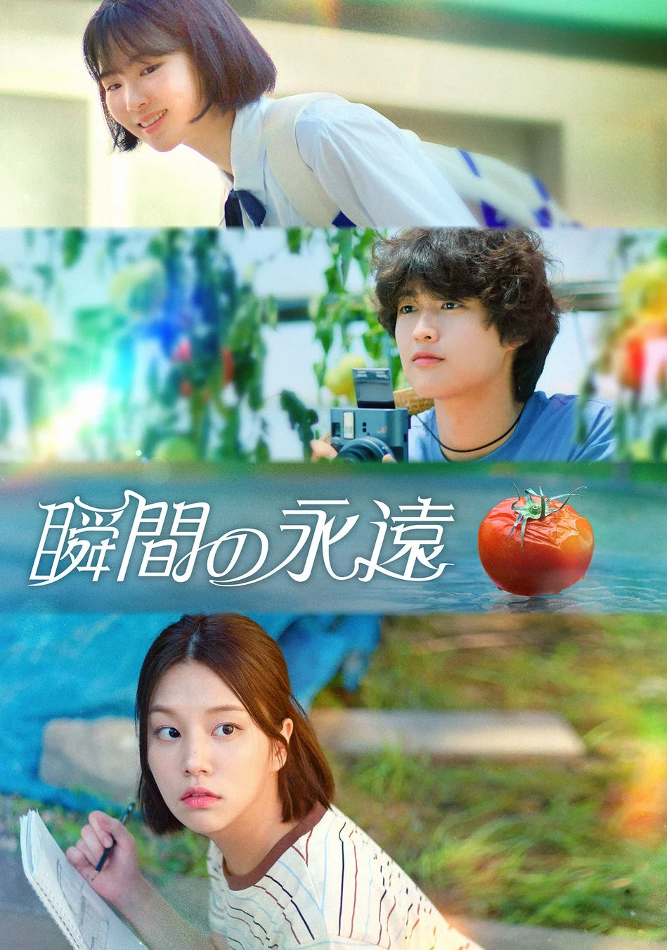 青春を感じさせる映画ポスター