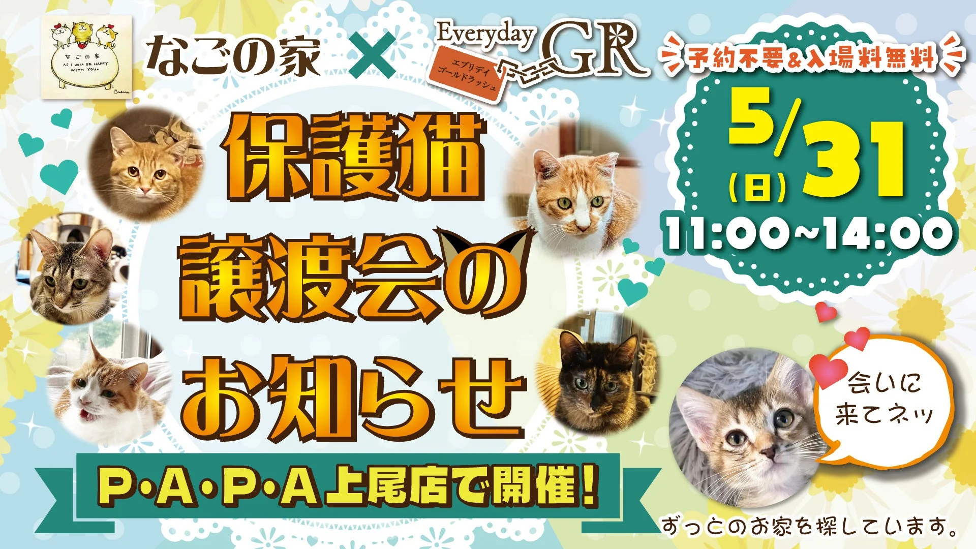 保護猫譲渡会のお知らせ